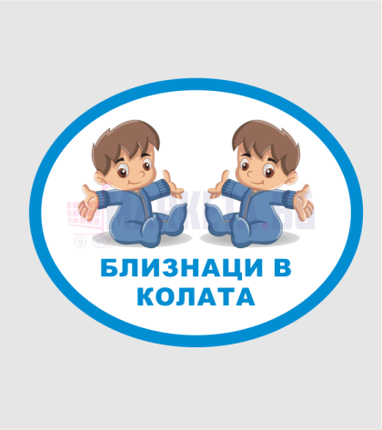 Car sticker - twins