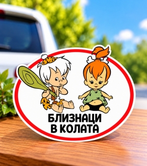 "Twins in the car" sticker