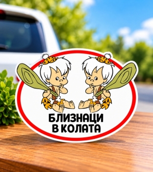 "Twins in the car" sticker