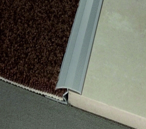 Преходна лайсна Z